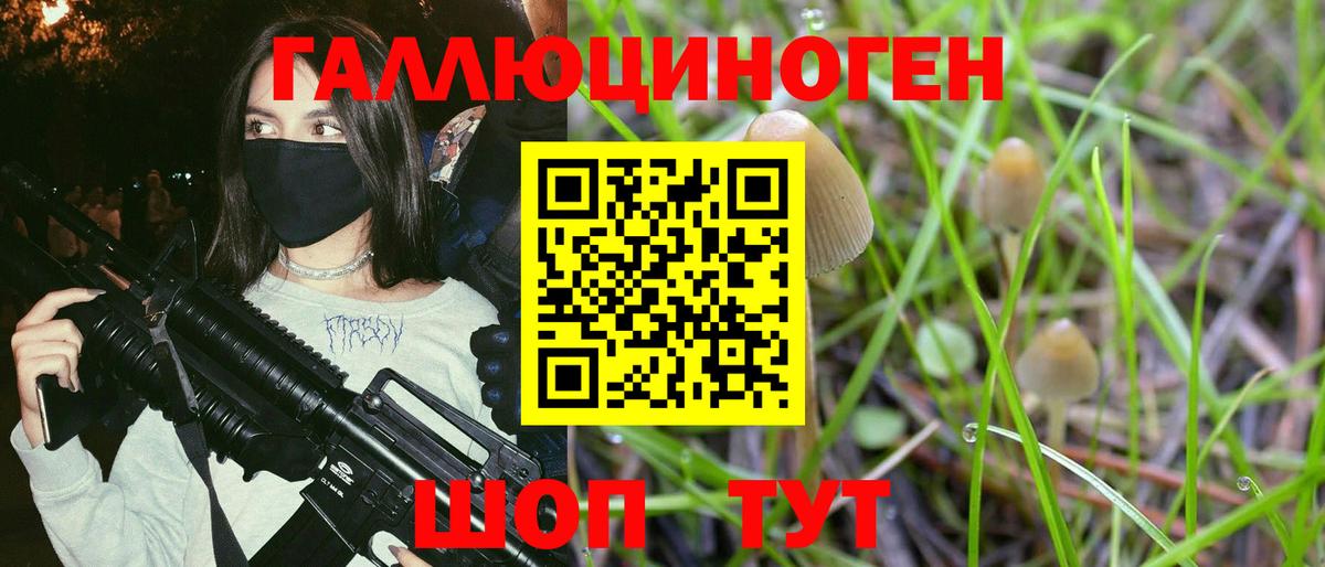 Азов  закладки  Вход с VPN  Галлюциногенные грибы мицелий 